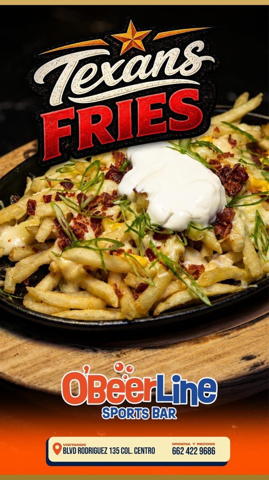 Texans Fries